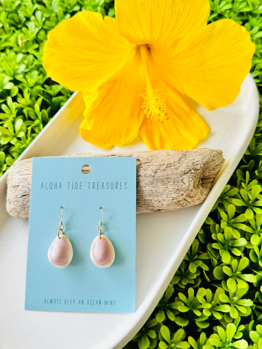 Sterling Silver Cowrie Shell Earrings