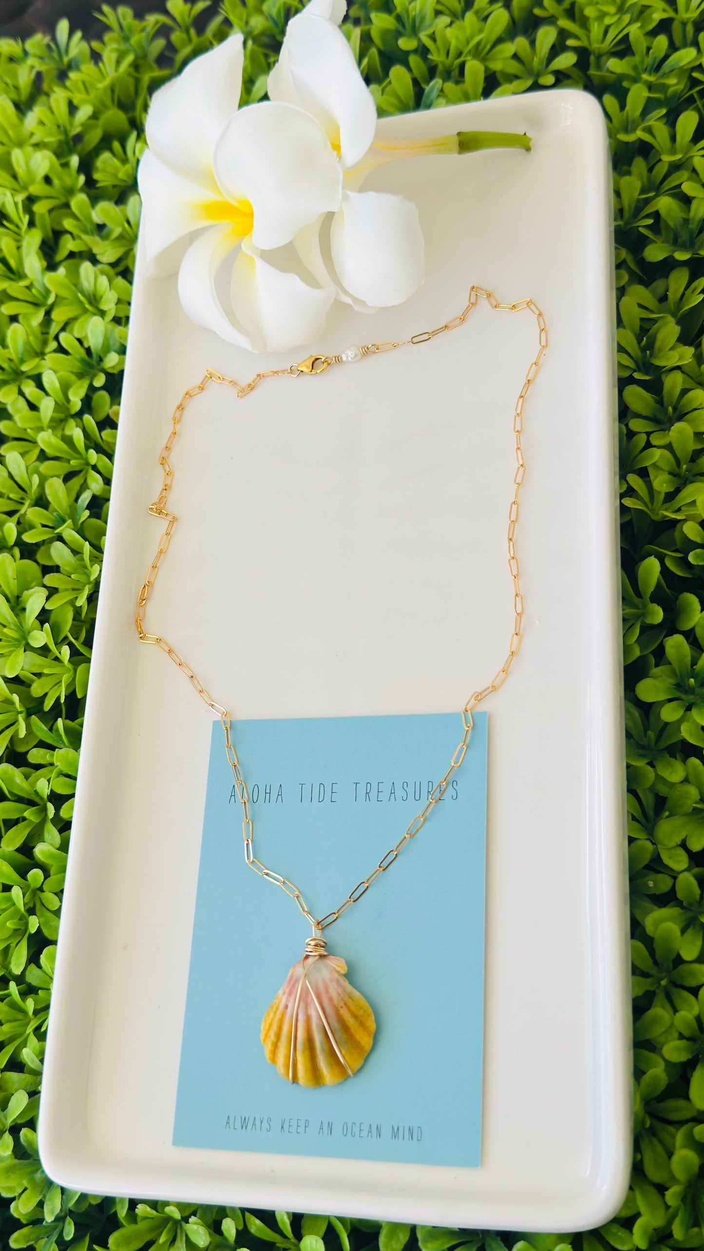 14K GF Sunrise Shell Necklace 18” - Robin