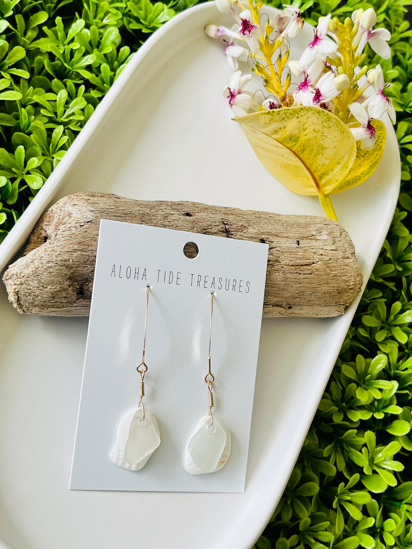 14K GF Sea Glass Shell Earrings