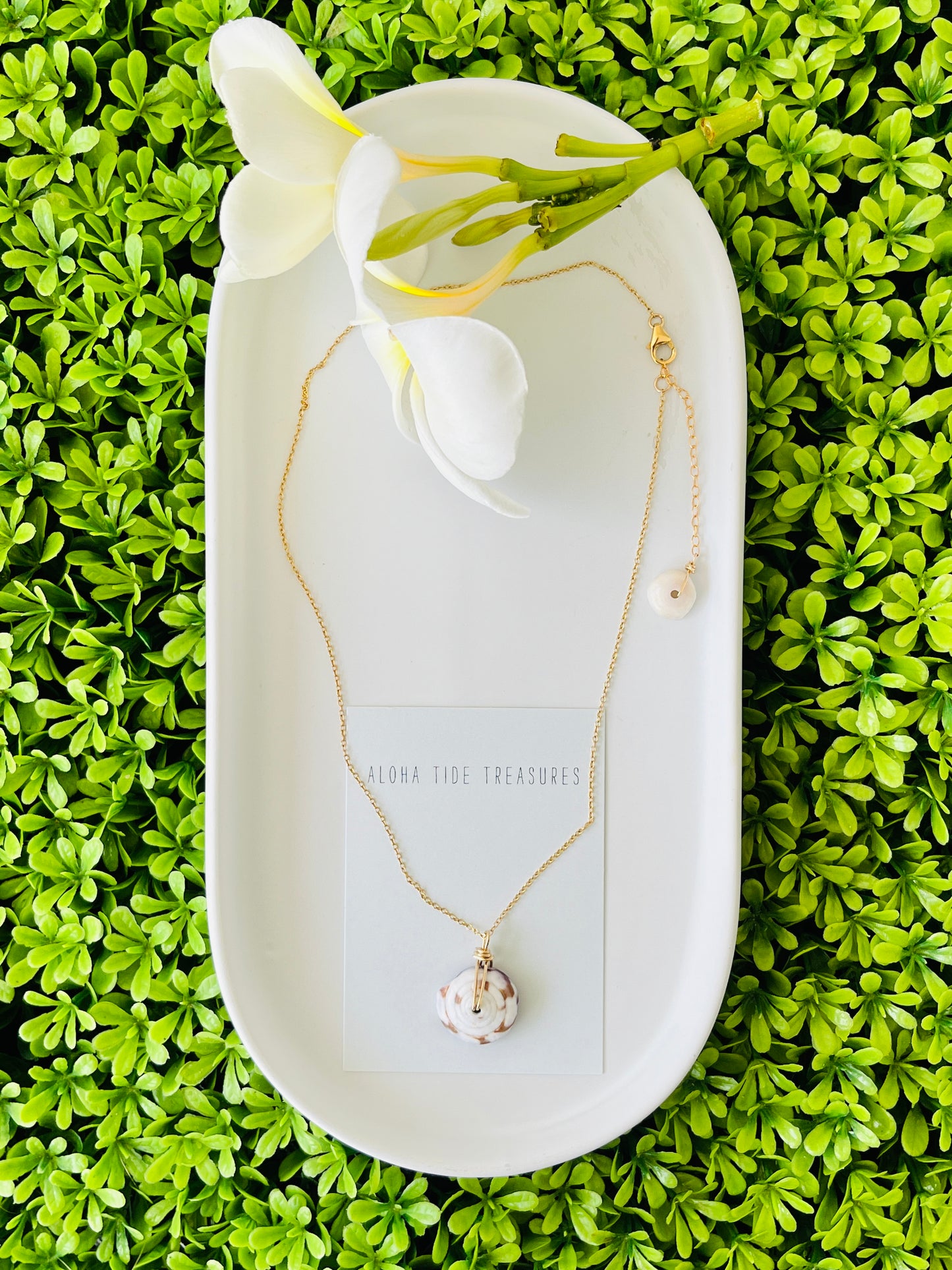 14K GF Puka Necklace 16”