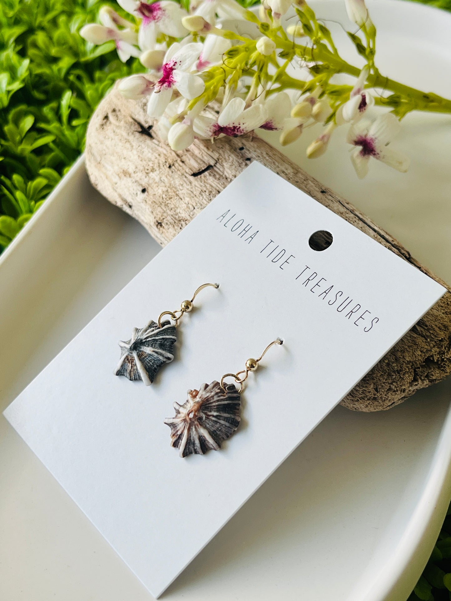 14K GF ‘Opihi Earrings