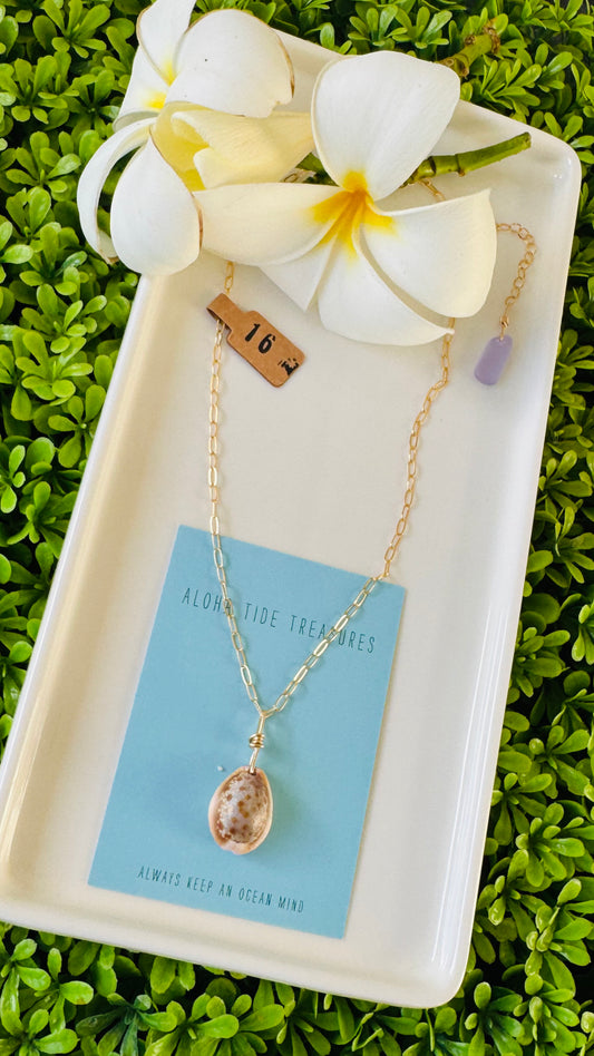 14K GF Cowrie Shell Necklace 16”