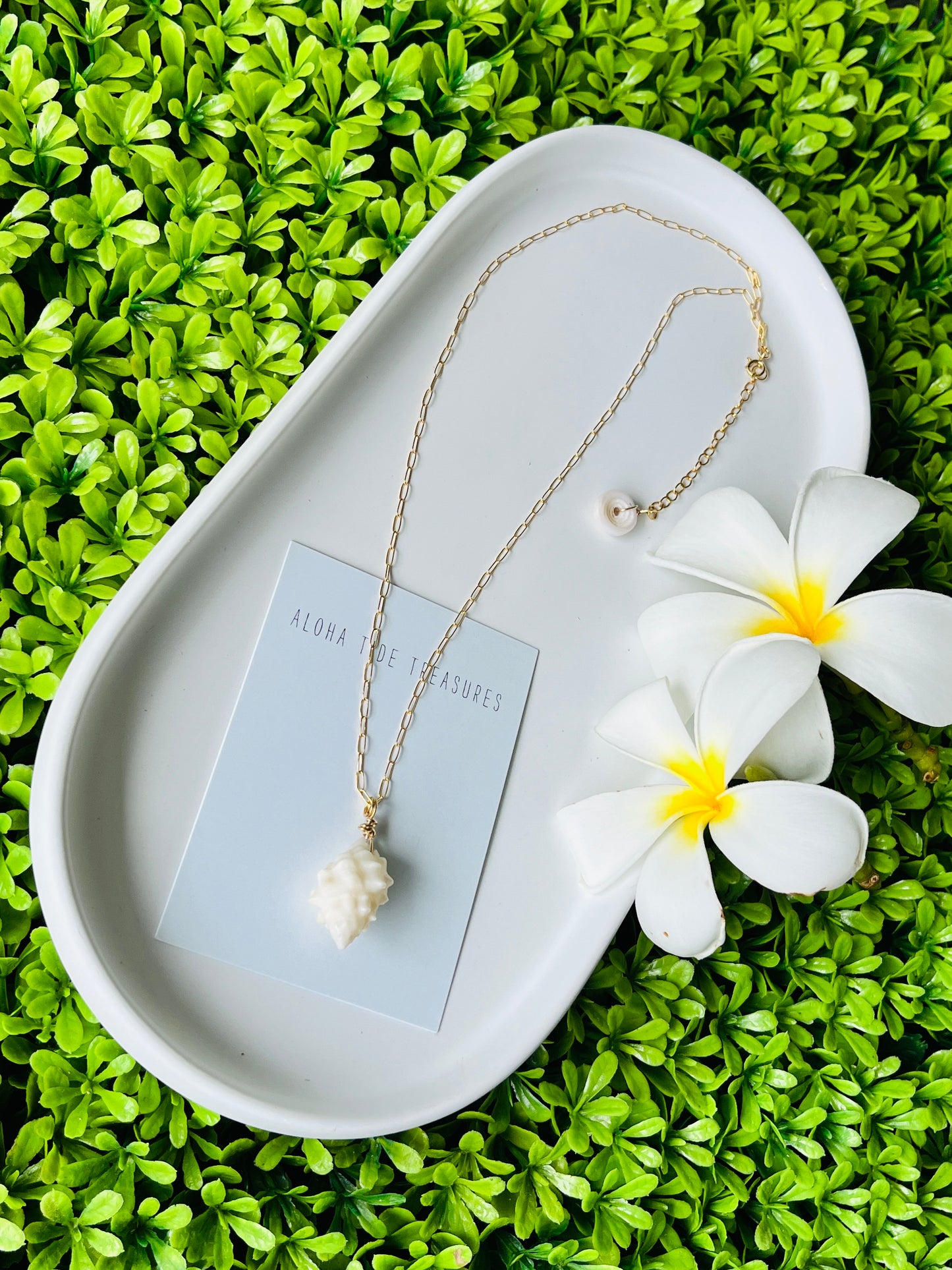 14K GF Shell Necklace 16”