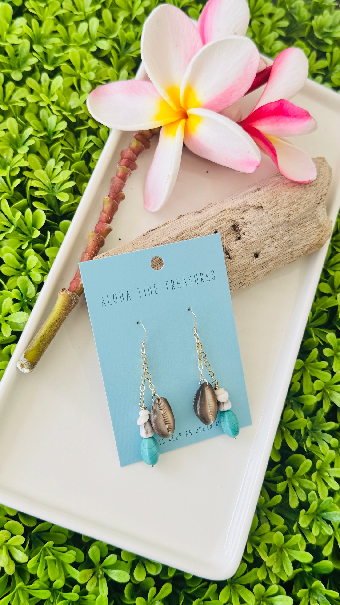 14K GF Puka/Cowrie Dangle Earrings