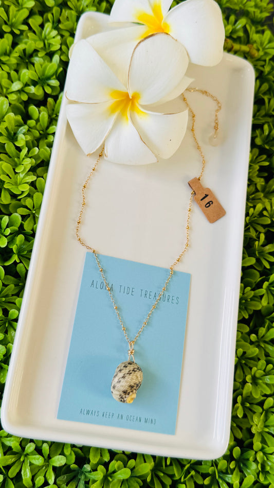 14K GF Nerita Shell Necklace 16”