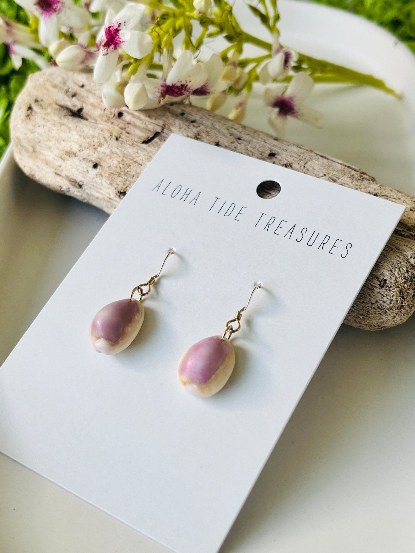 14K GF Cowrie Shell Earrings
