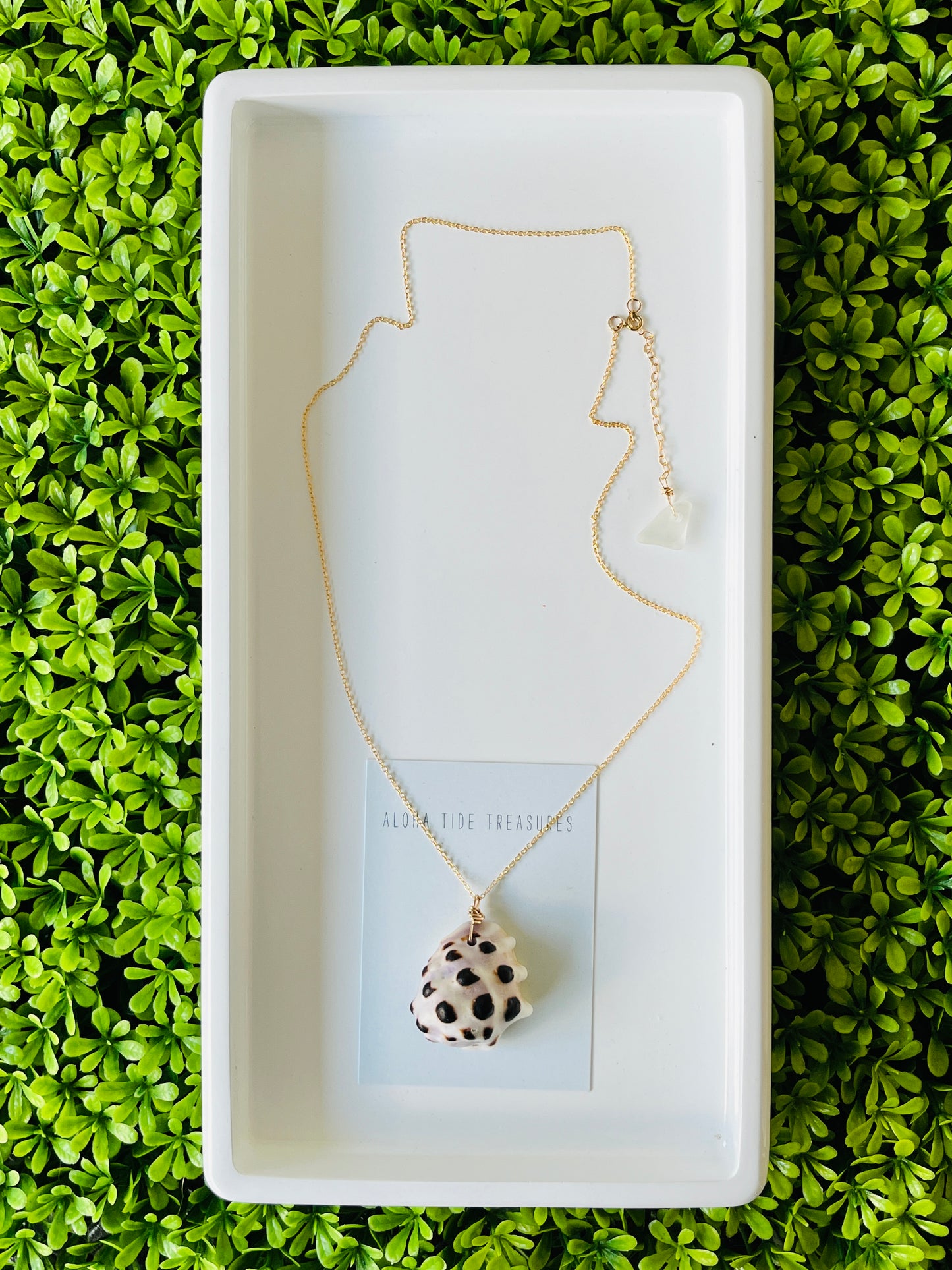 14K GF Drupe Shell Necklace 20” - Jennifer
