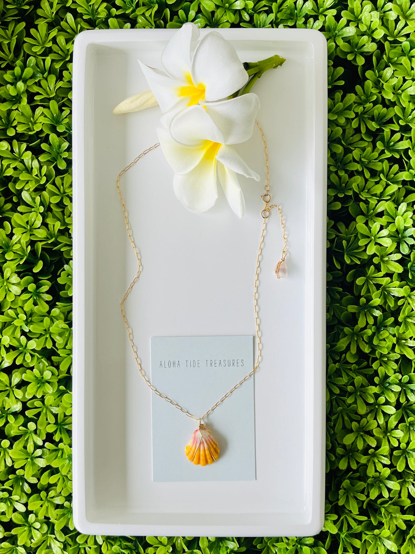 14K GF Sunrise Shell Necklace 18” - Emma