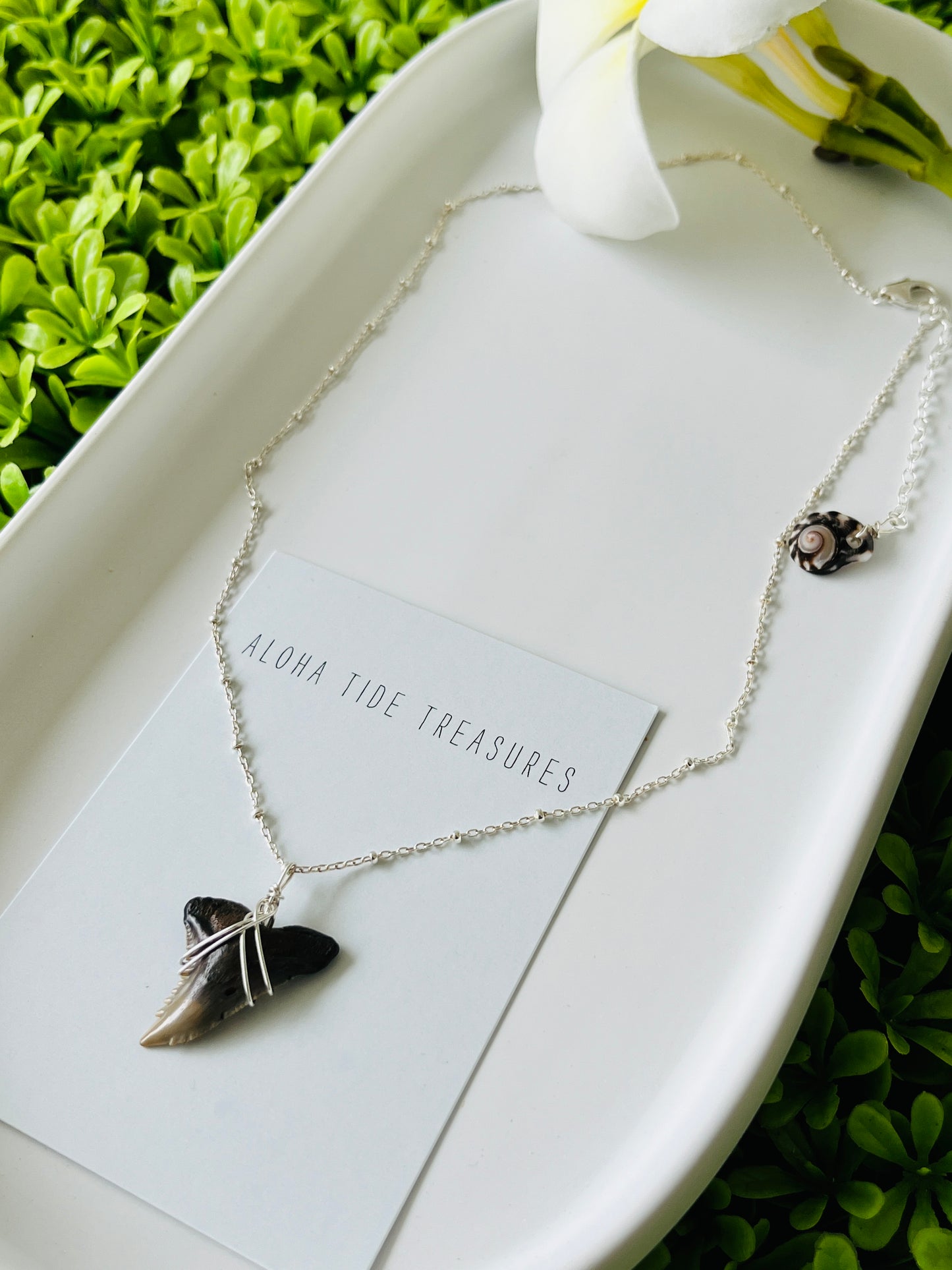 Sterling Silver Shark Tooth Necklace 16”