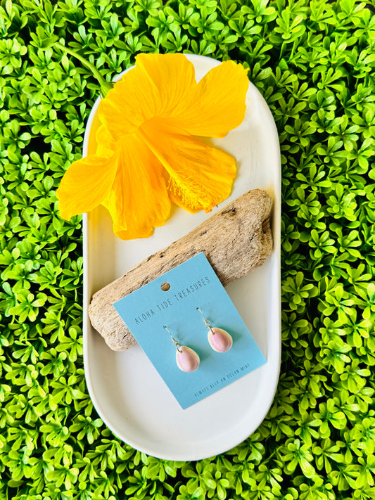 Sterling Silver Cowrie Shell Earrings