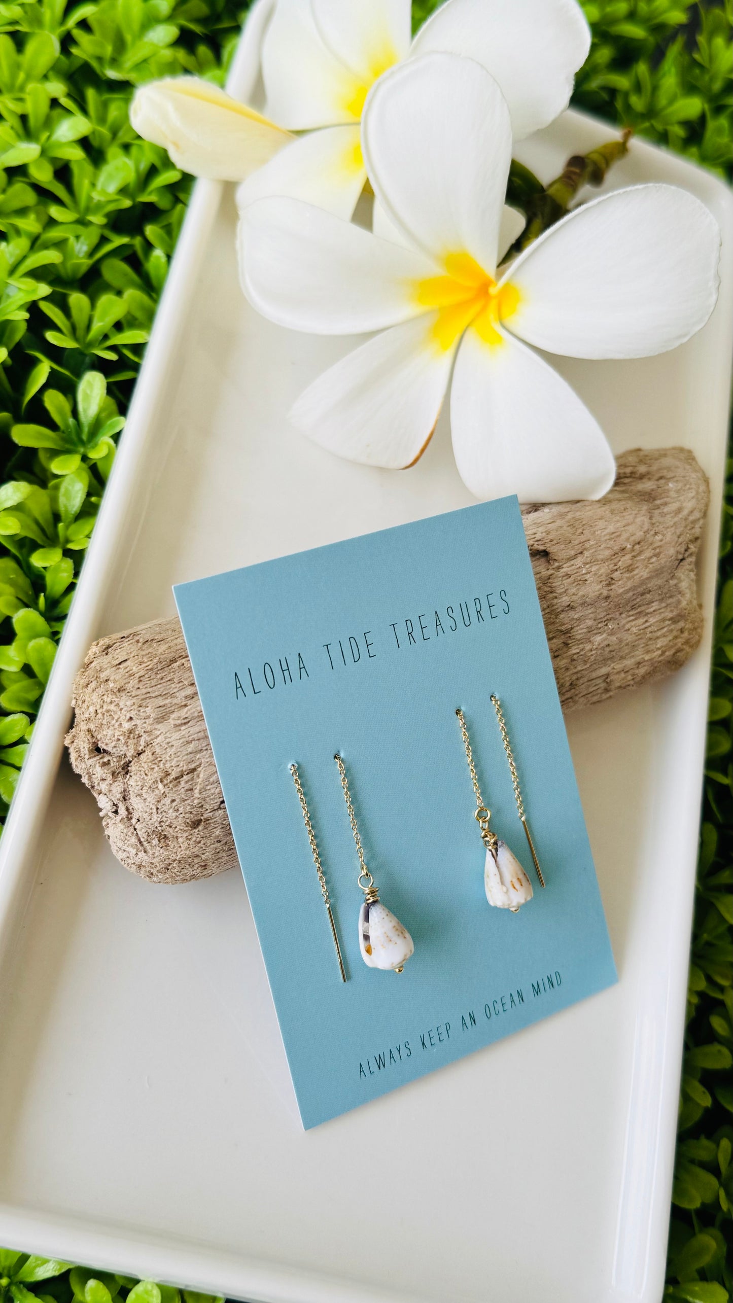 14K GF Shell Threader Earrings - Taylor