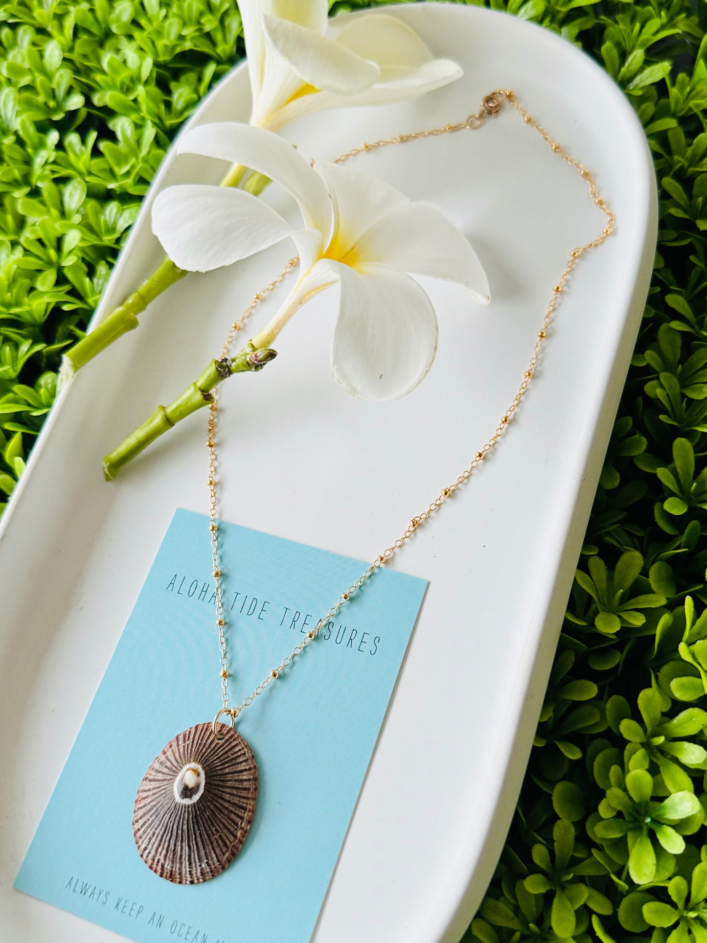 14K GF Opihi Necklace 16”