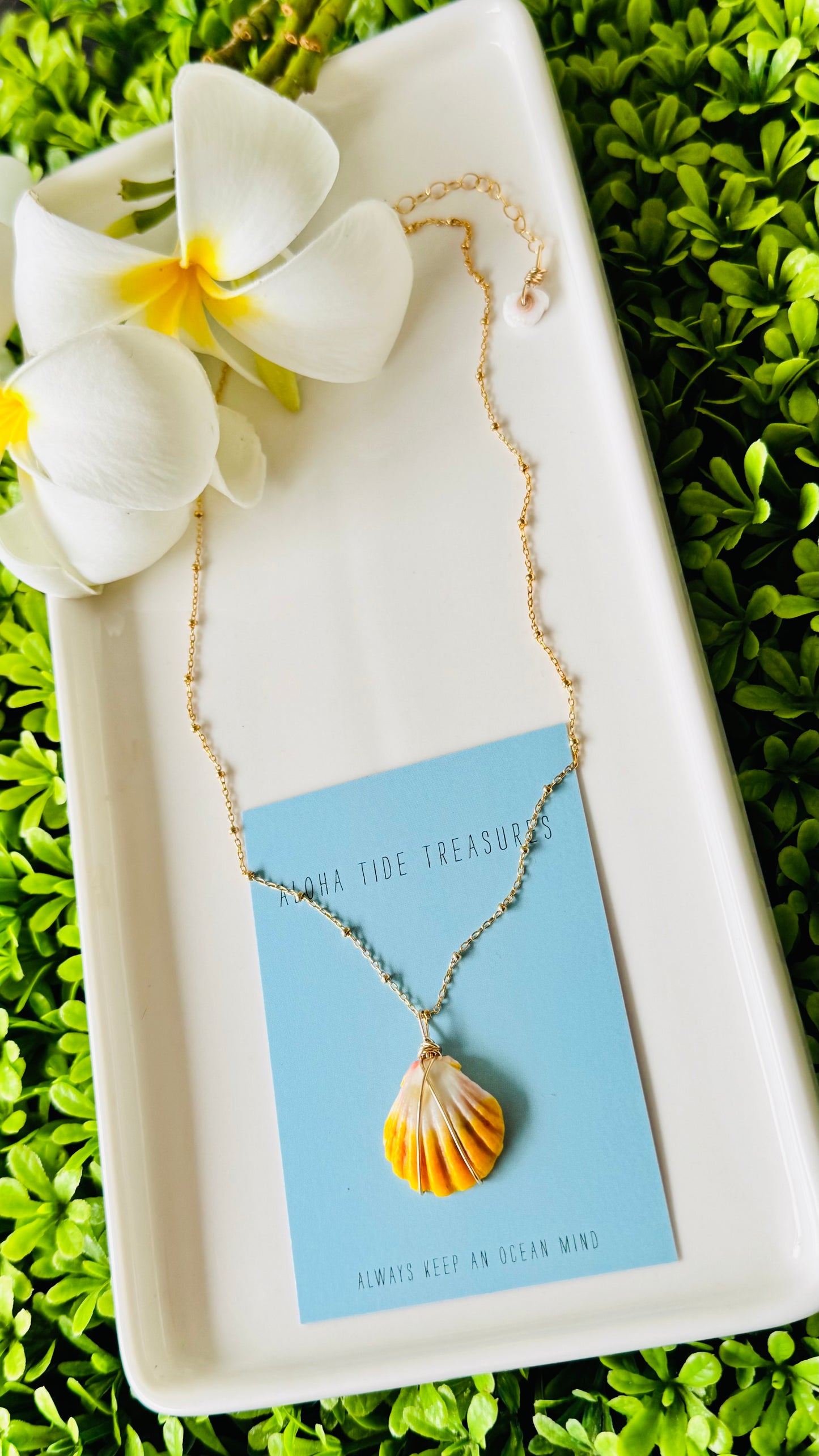 14K GF Sunrise Shell Necklace 16”