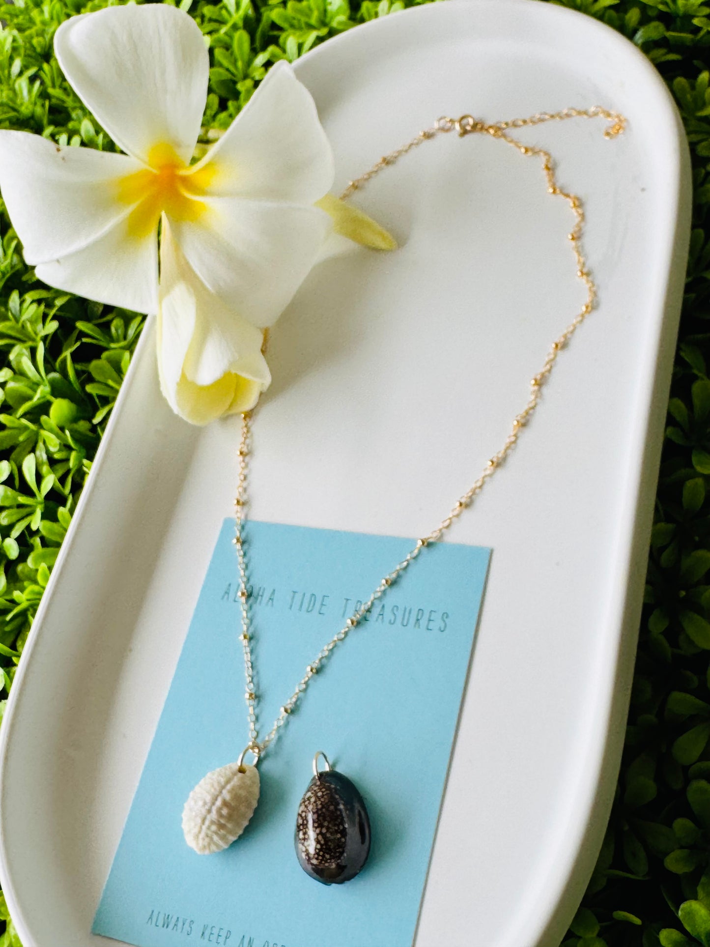 14K GF Cowrie Shell Necklace 16” - Julie