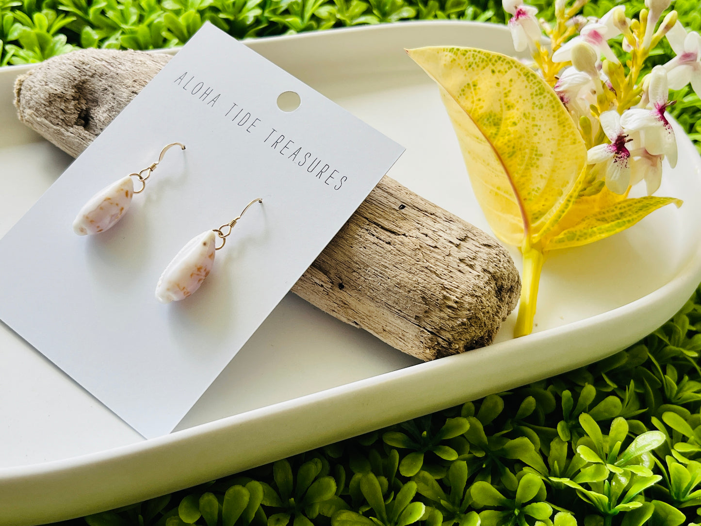 14K GF Fringed Cowrie Shell Earrings