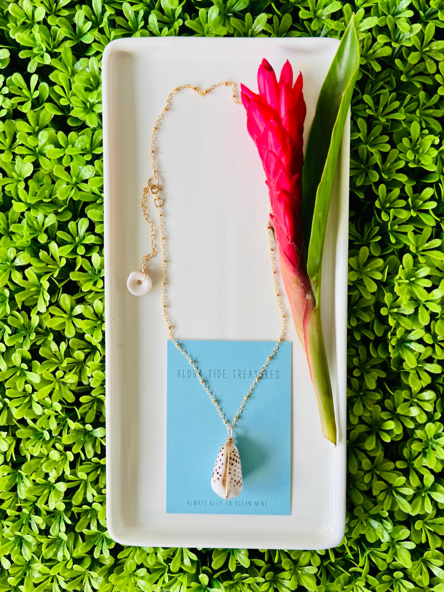 14K GF Flea Cone Shell Necklace 16”