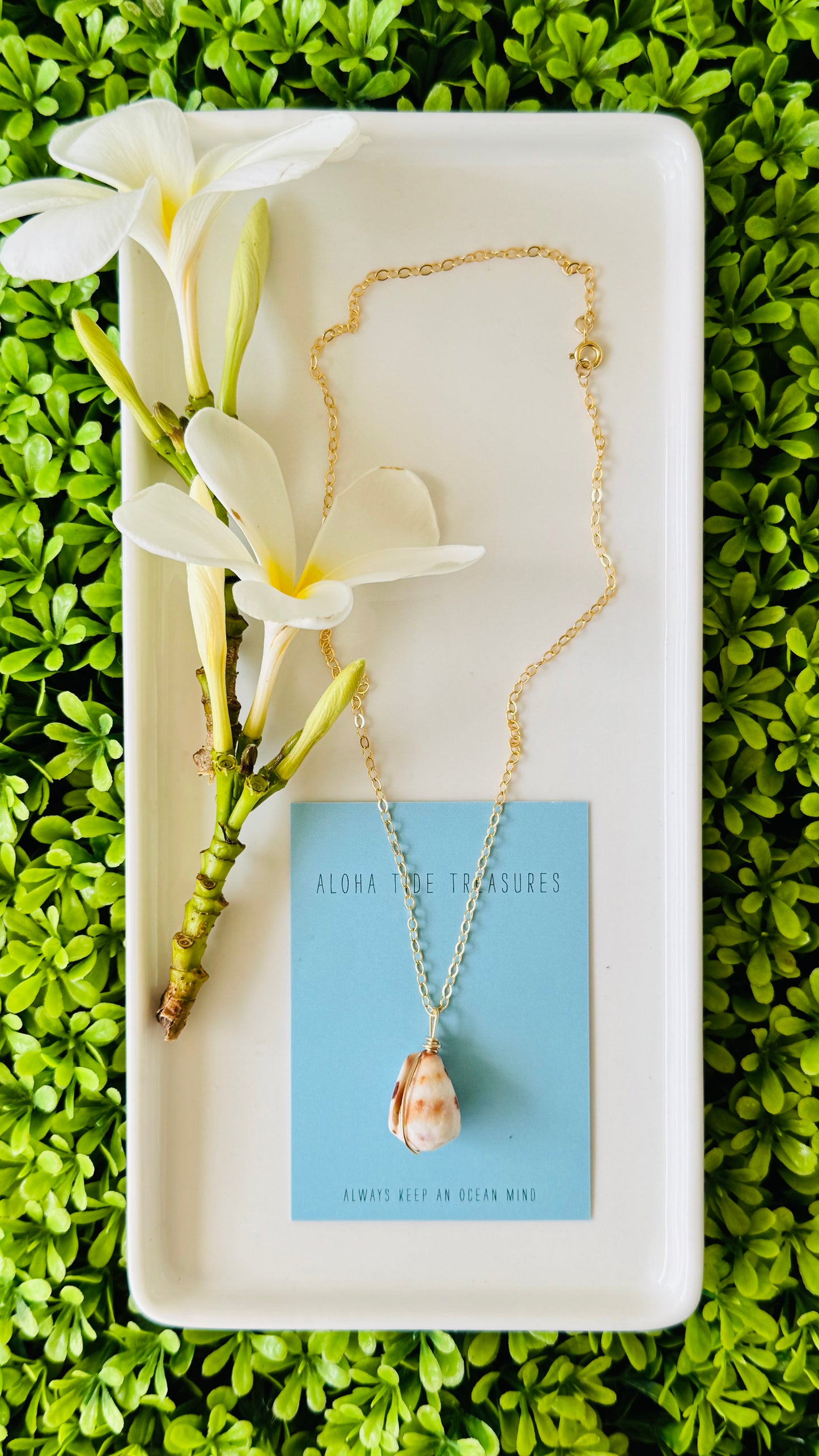 14K GF Hebrew Shell Necklace 16” - Loraine