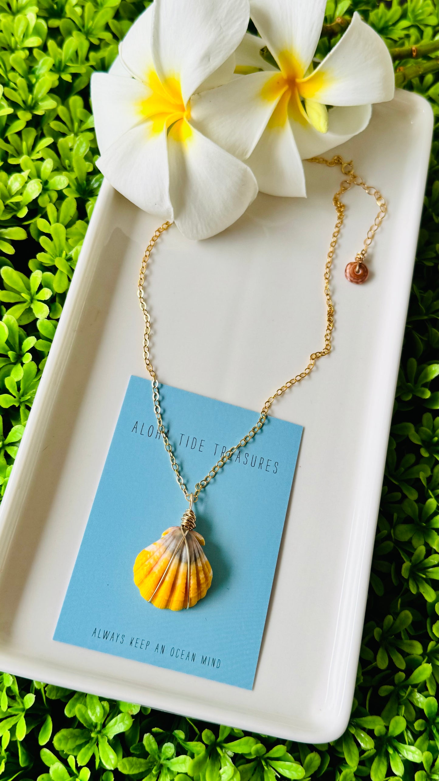 14K GF Sunrise Shell Necklace 16”