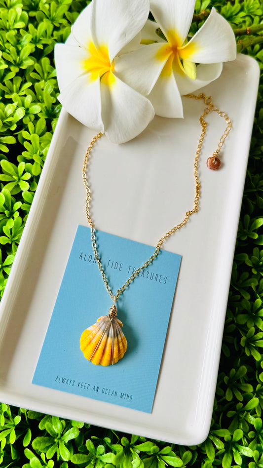 14K GF Sunrise Shell Necklace 16”
