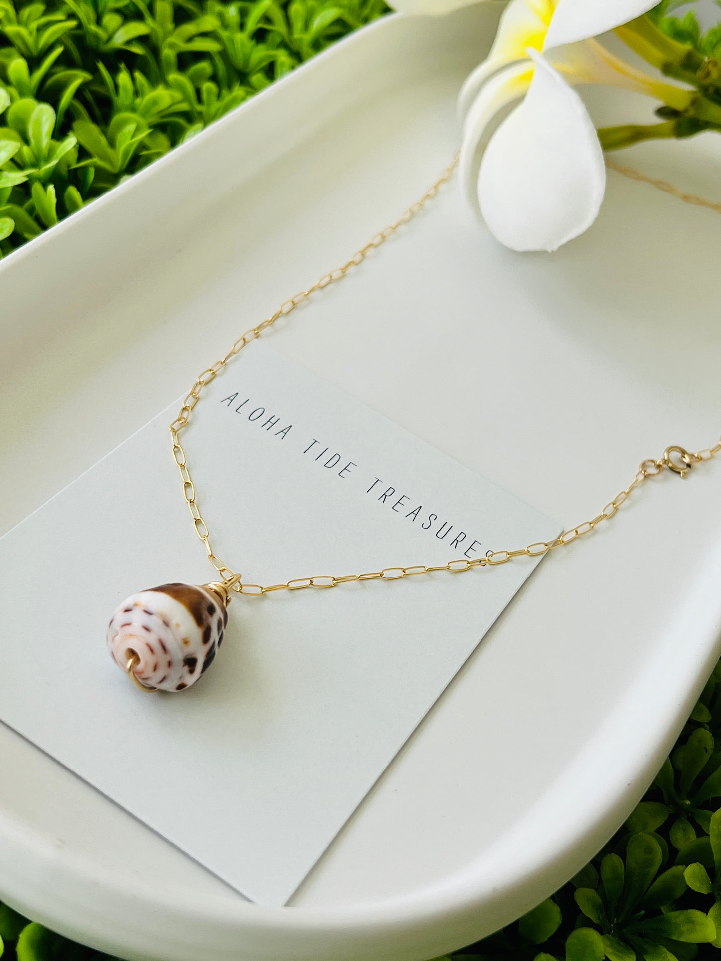 14K GF Hebrew Shell Necklace 16”