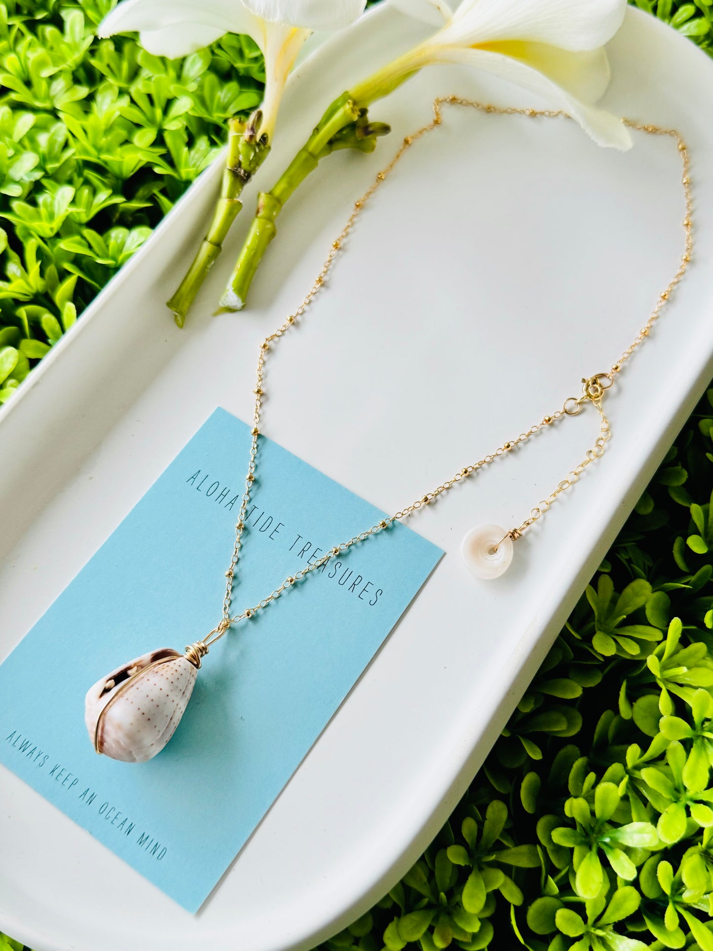 14K GF Abbreviated Cone Shell Necklace 16”