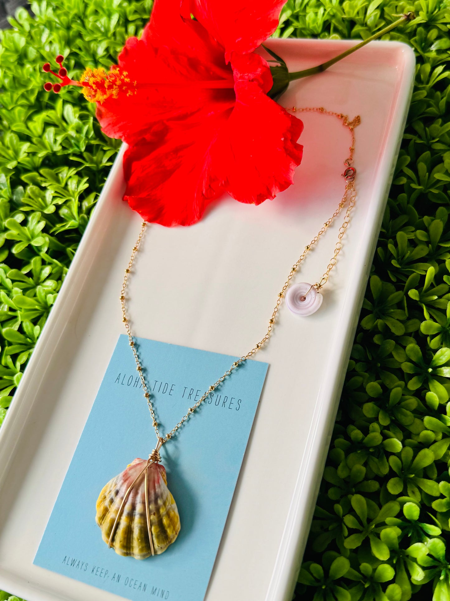 14K GF Moonrise Shell Necklace 16”