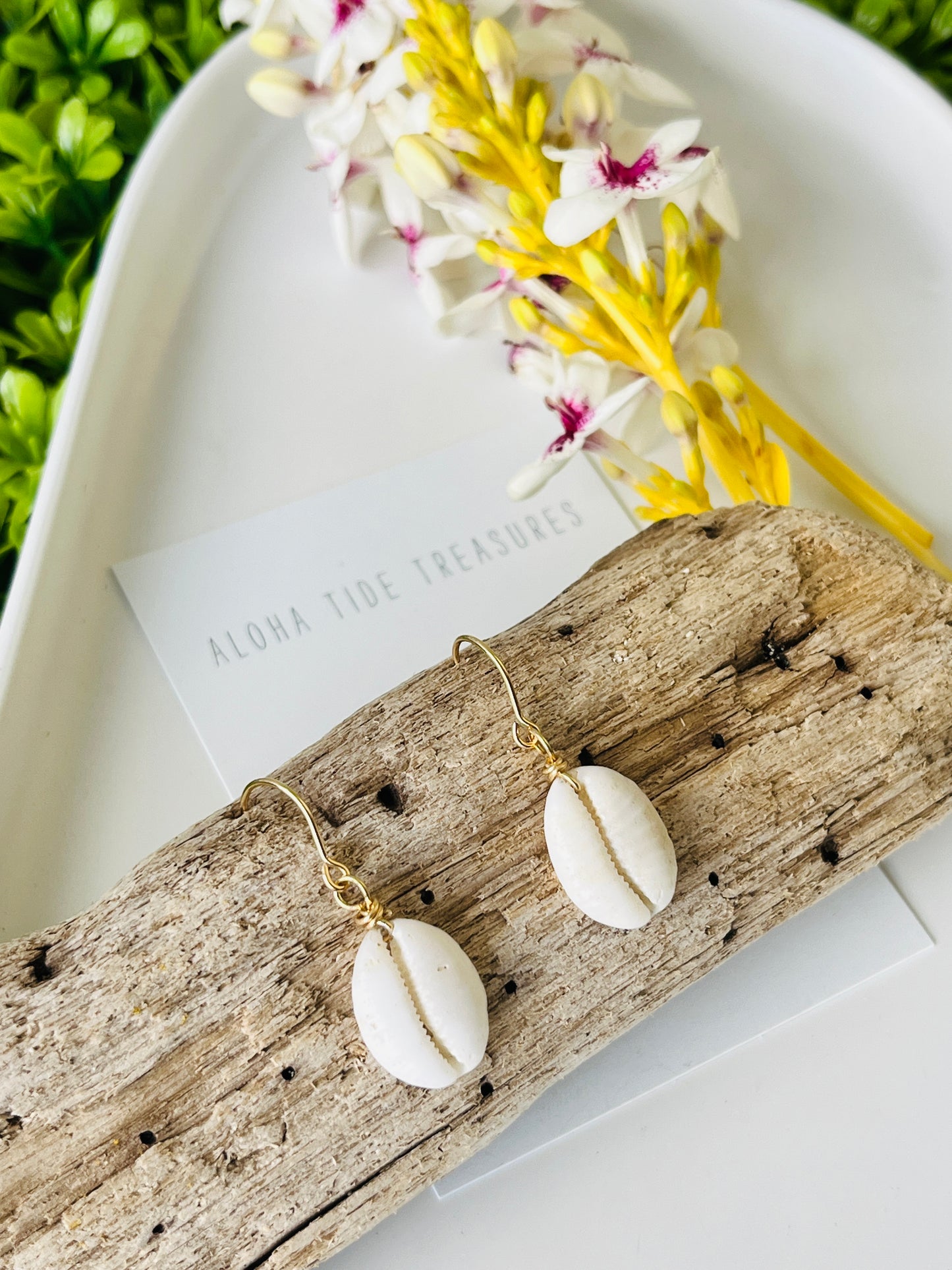 14K GF Cowrie Shell Earrings