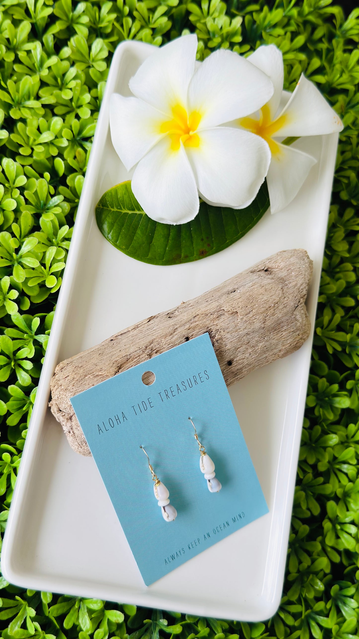 14K GF Stacked Cone Shell Earrings