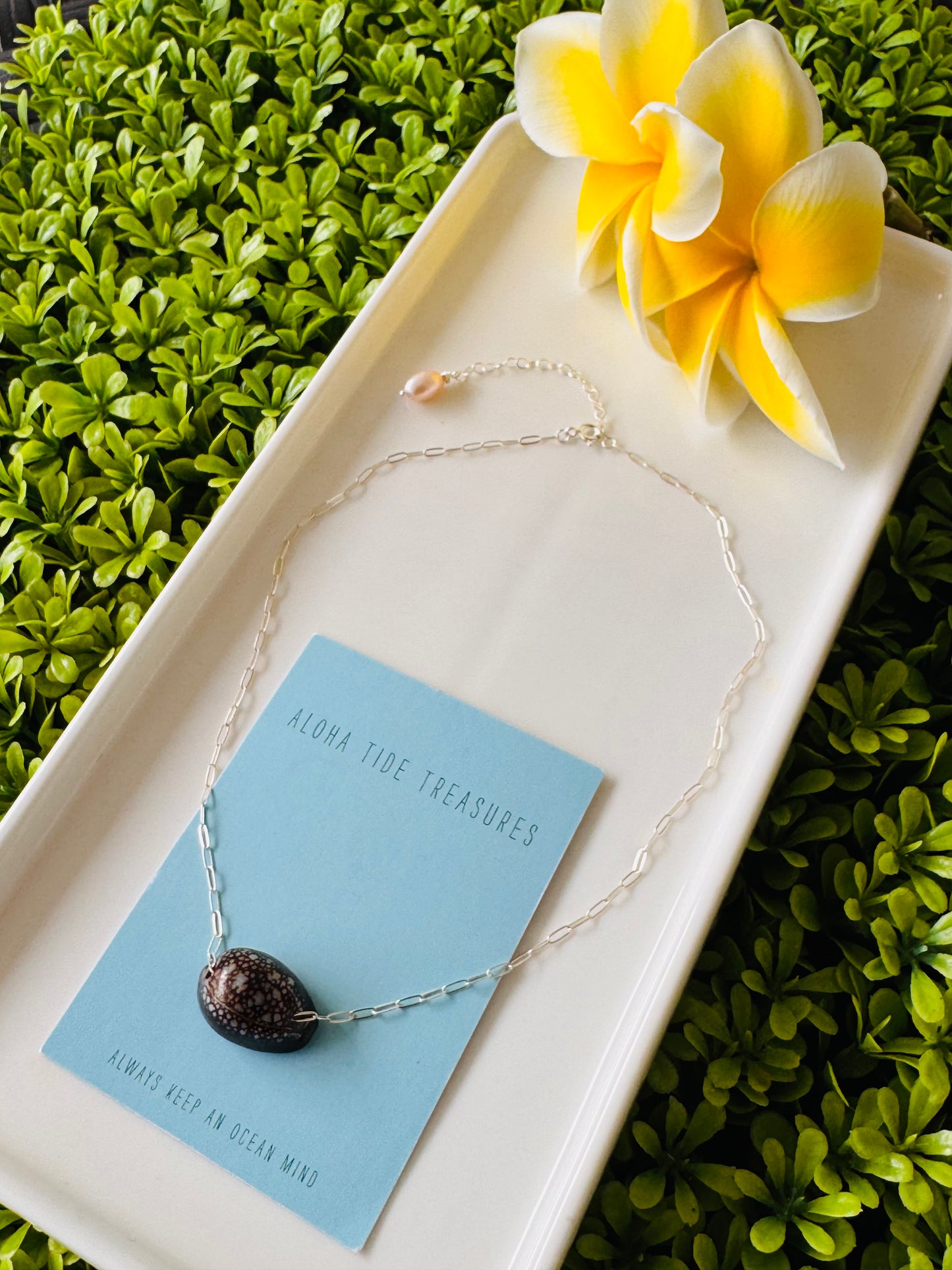 Sterling Silver Cowrie Shell Necklace 14” - Jozie