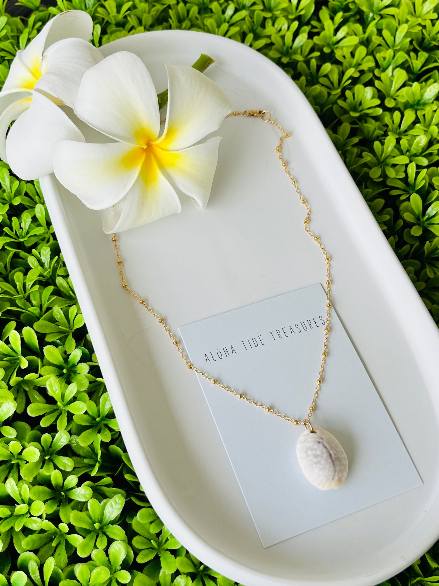 14K GF Cowrie Shell Necklace 16”