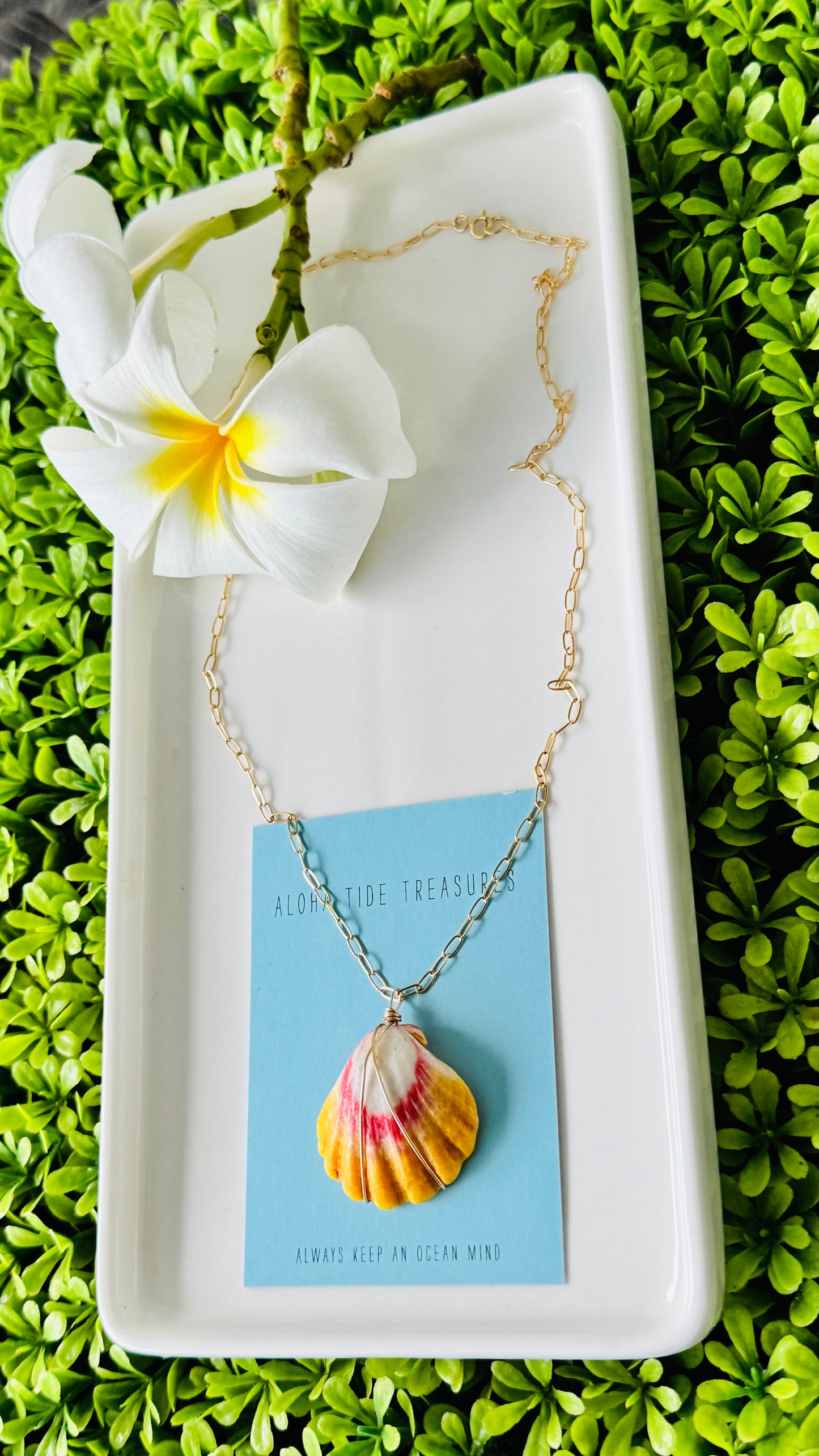 14K GF Sunrise Shell Necklace 20” - Carrie