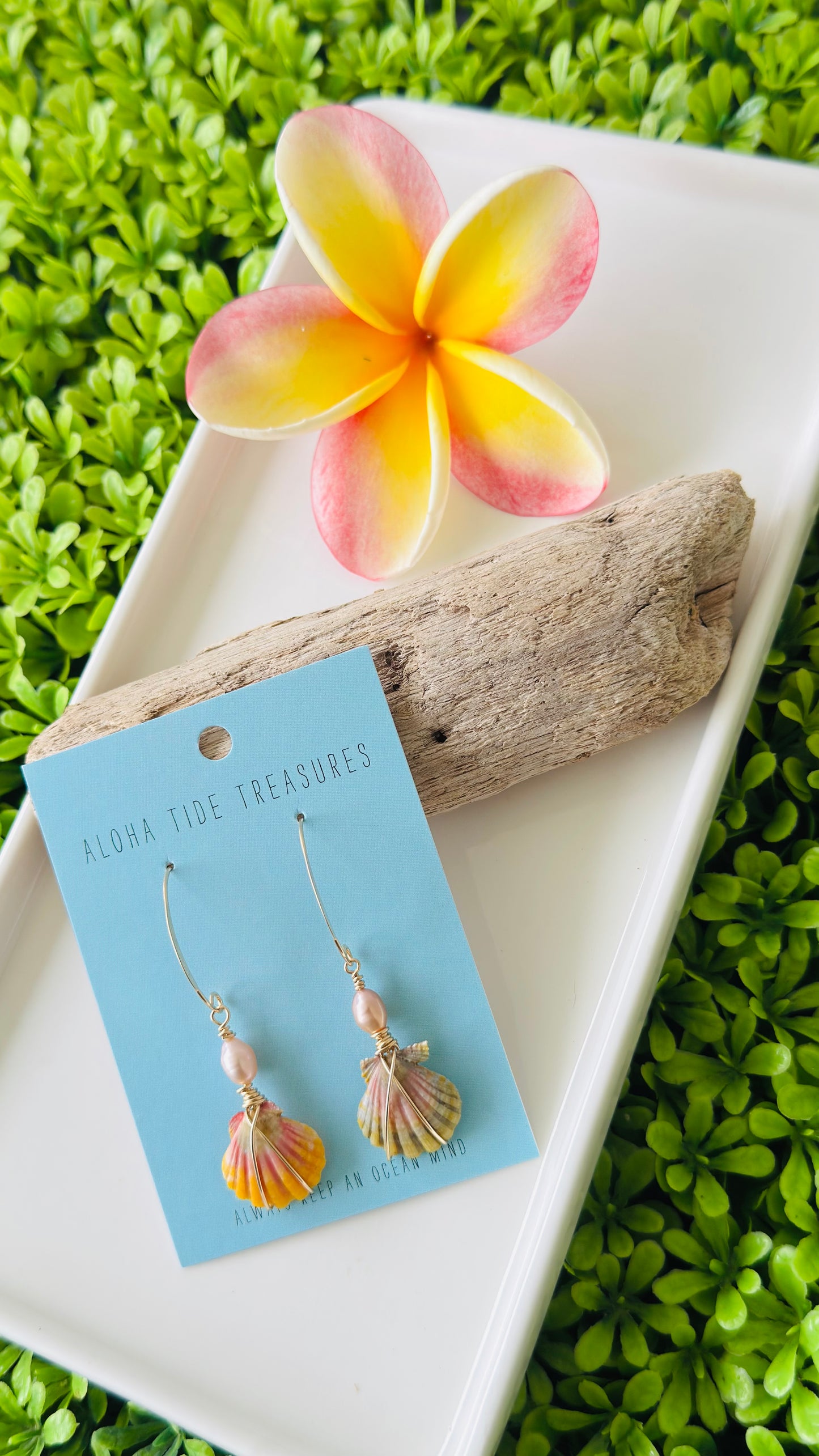 14K Dainty Sunrise Shell Dangle Earrings - Lacey