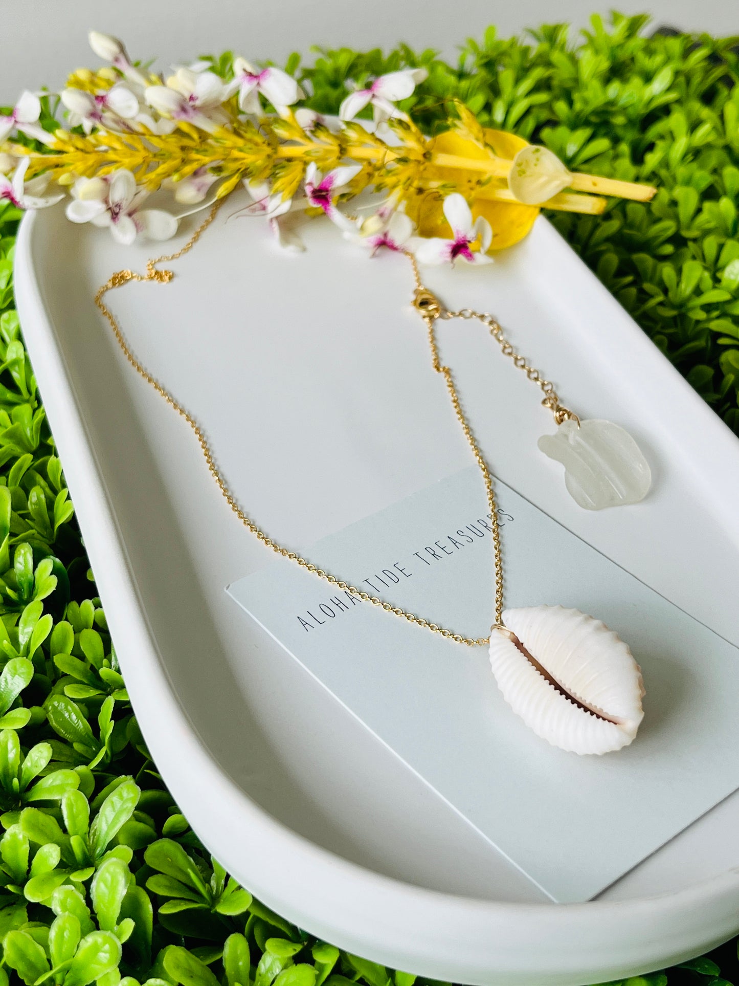 14K GF Cowrie Shell Necklace 20”