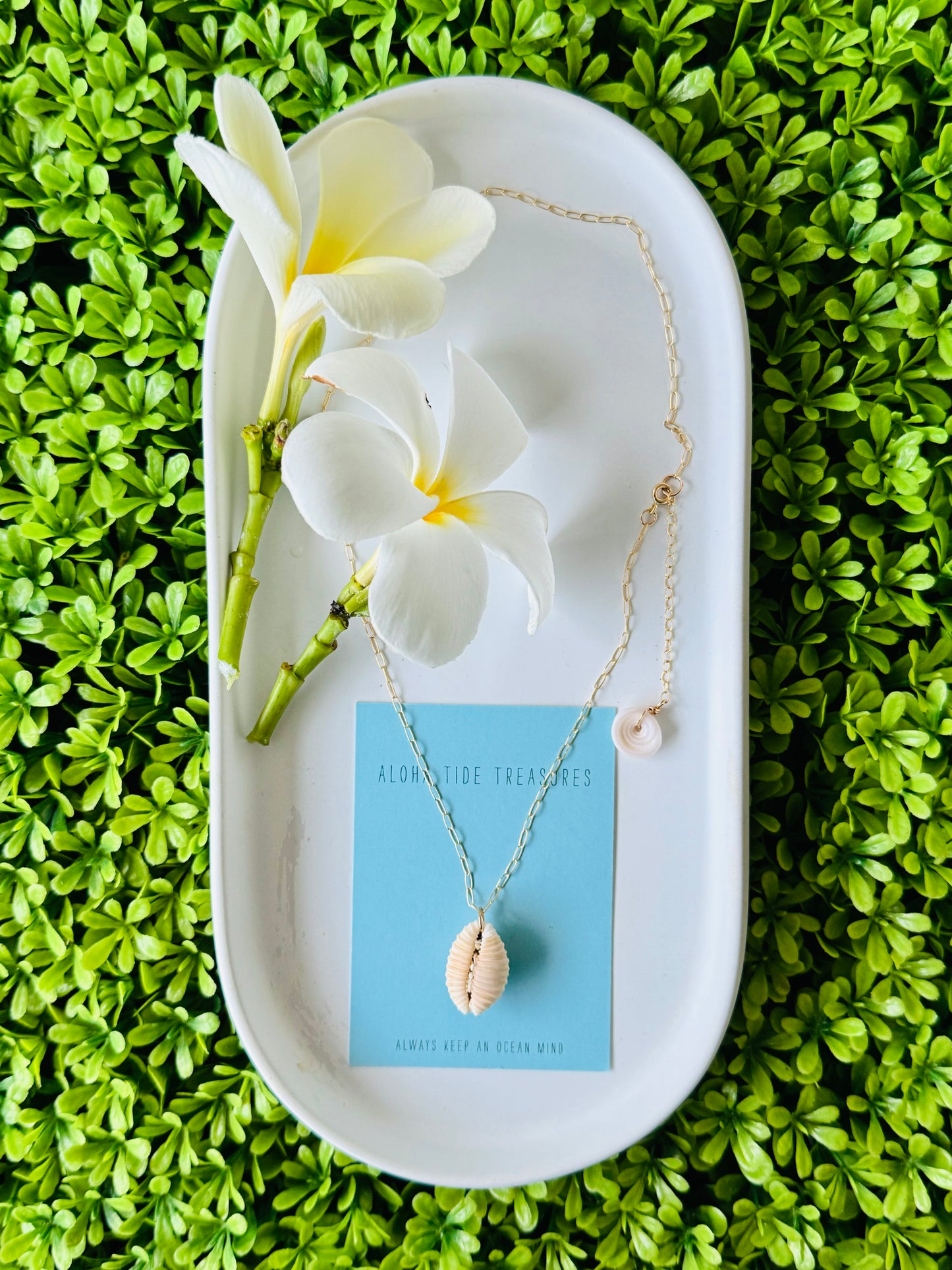 14K GF Cowrie Shell Necklace 16”