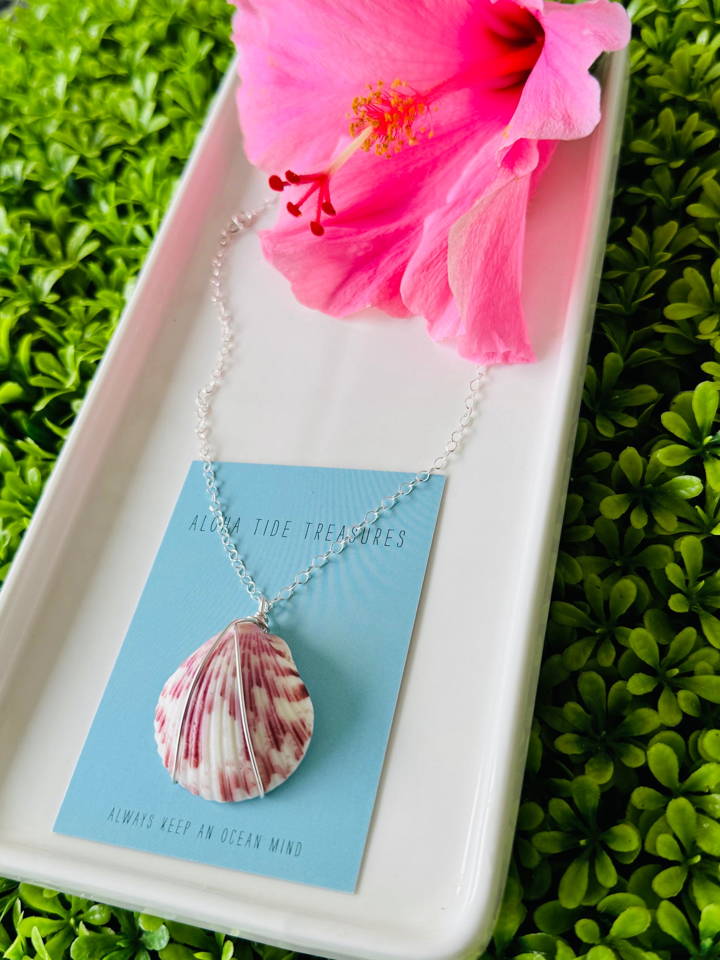 Sterling Silver Carolina Calico Shell Necklace 16” - Kristin