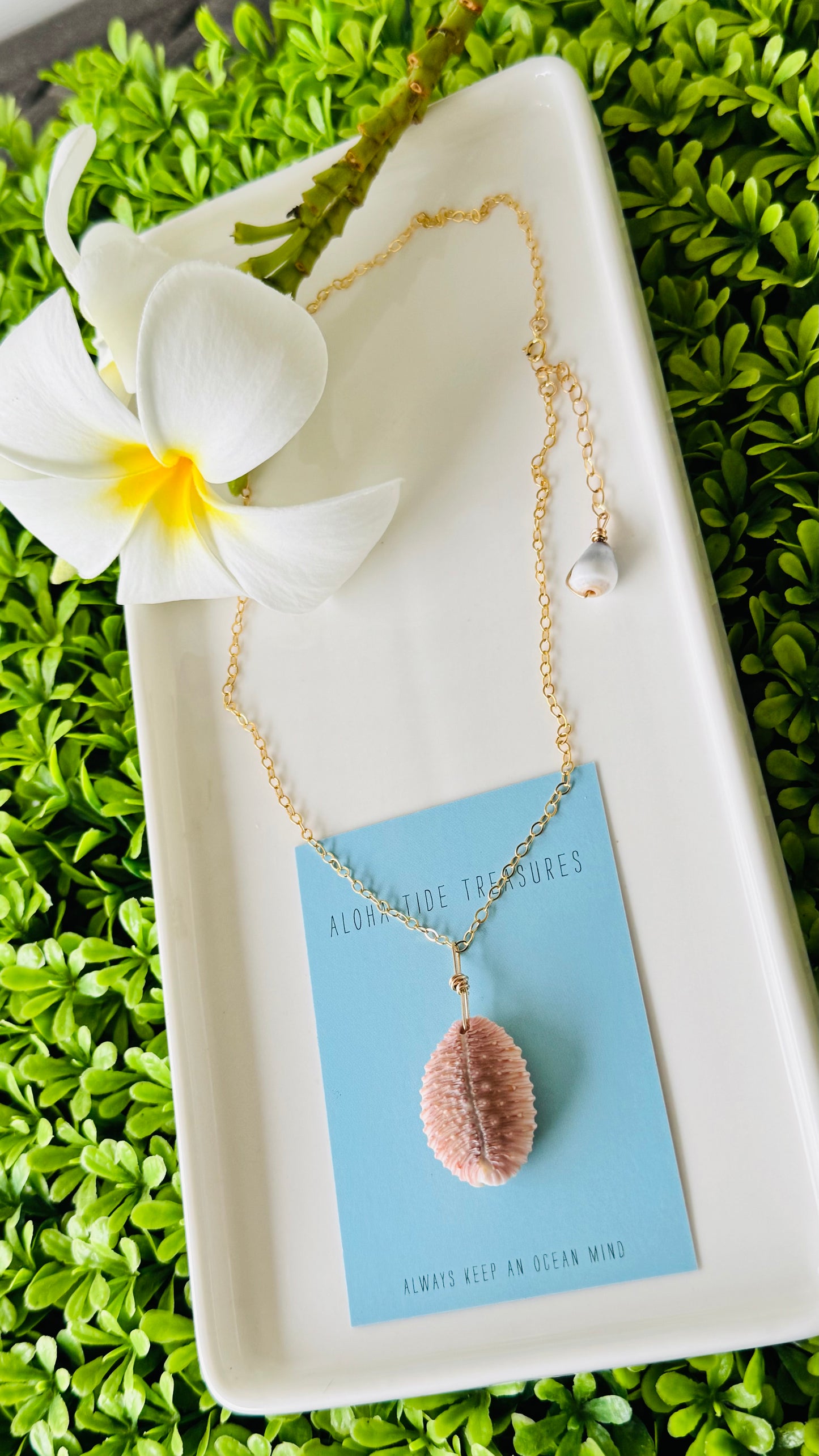14K GF Cowrie Shell Necklace 16”