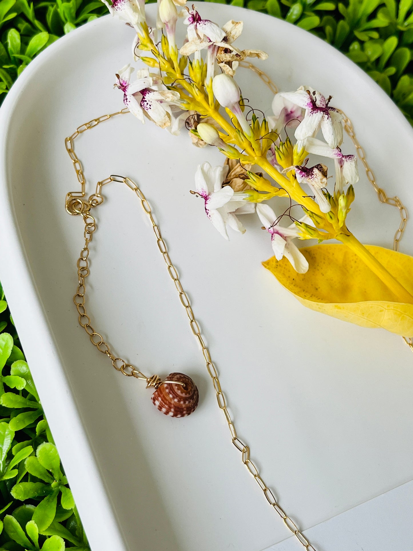 14K GF Abbreviated Cone Shell Necklace 20”
