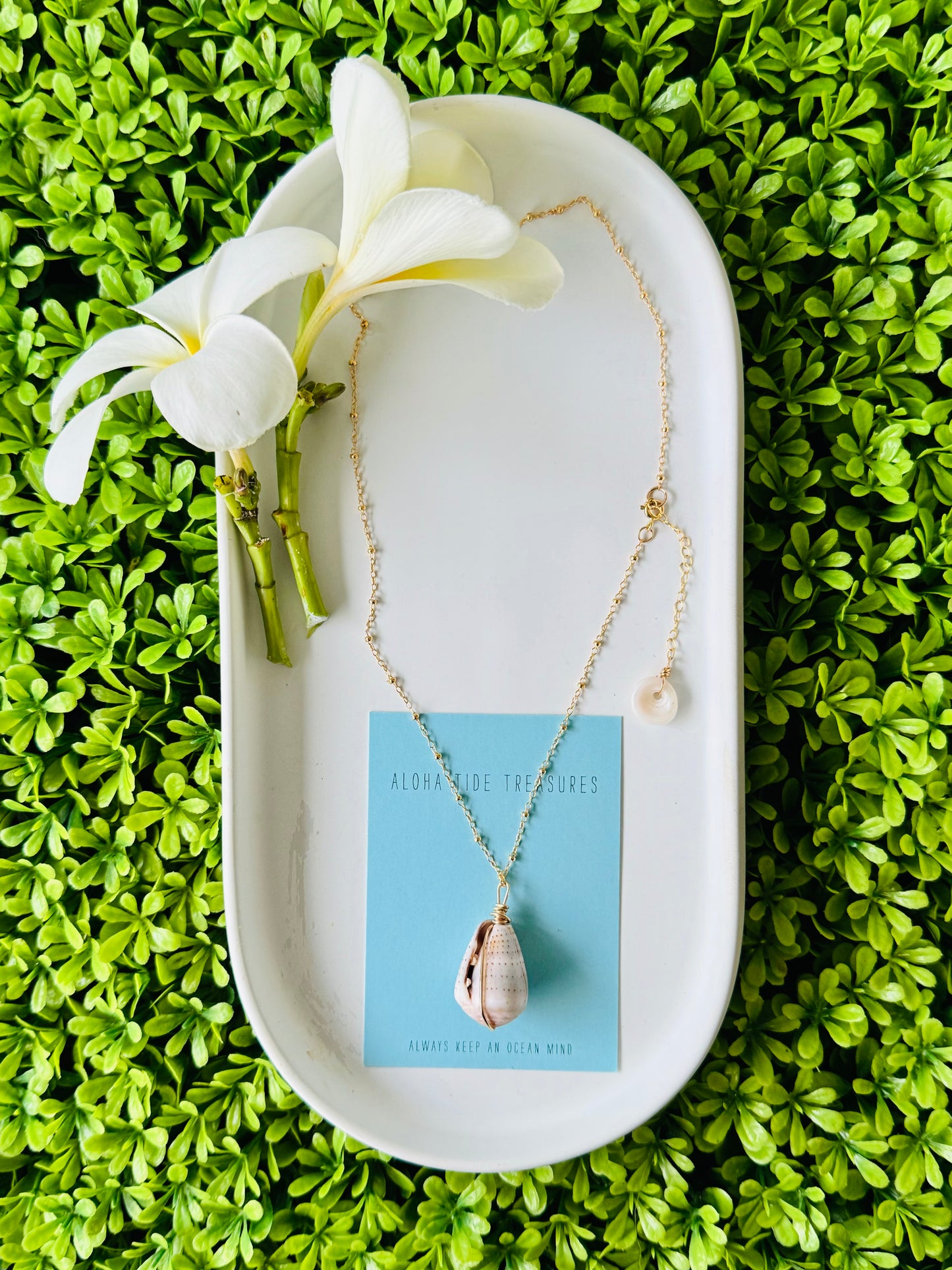 14K GF Abbreviated Cone Shell Necklace 16”