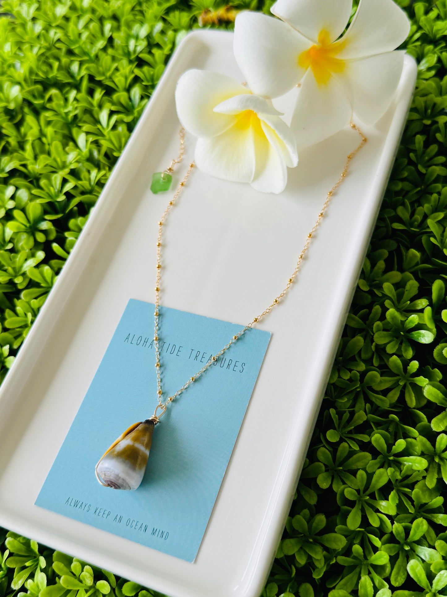 14K GF Cone Shell Necklace 16” - Lauren