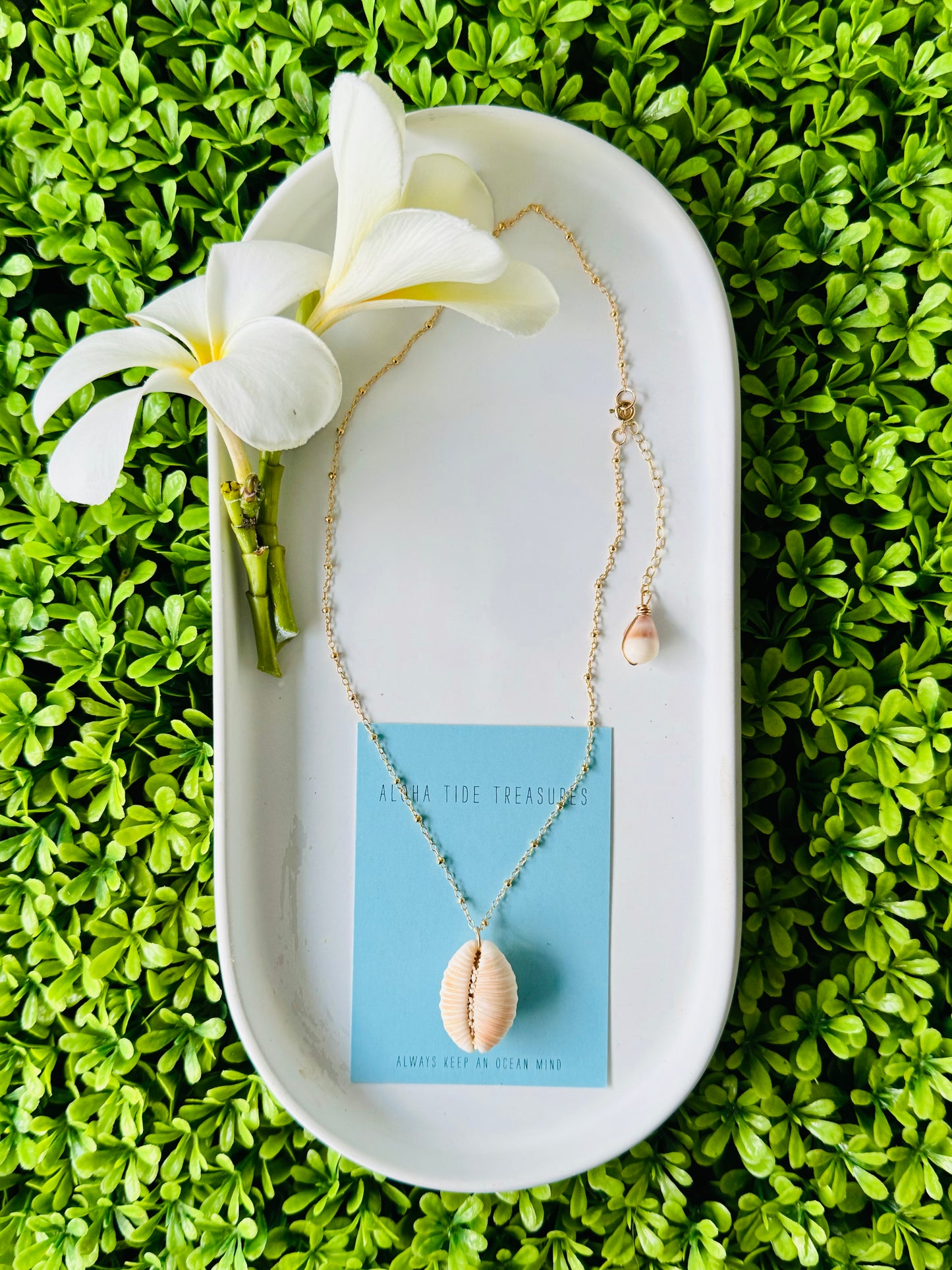 14K GF Cowrie Shell Necklace 16”