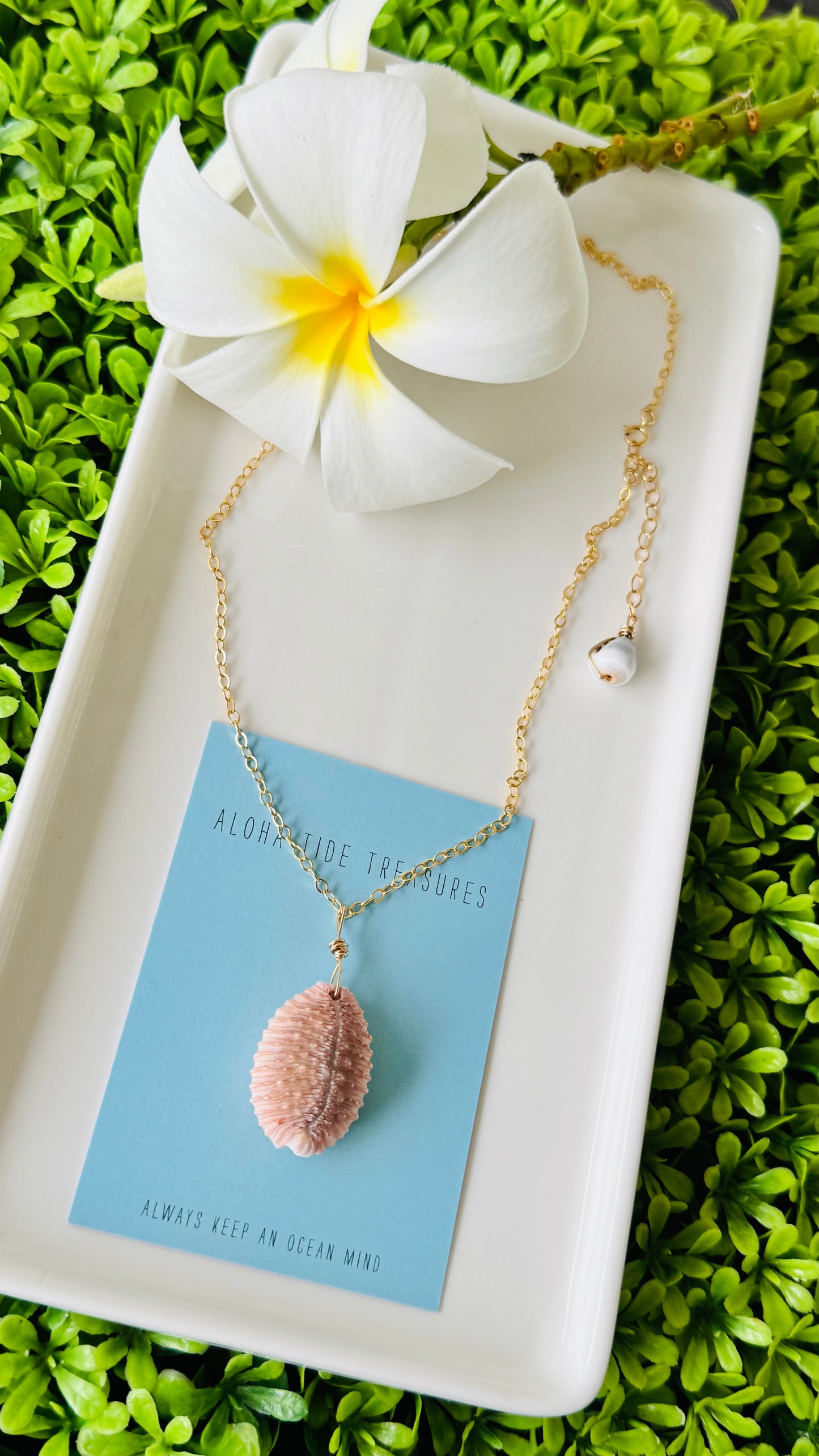 14K GF Cowrie Shell Necklace 16”