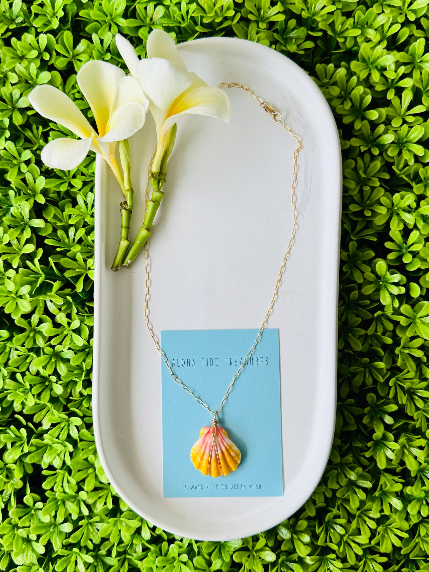 14K GF Sunrise Shell Necklace 16” - Carrie