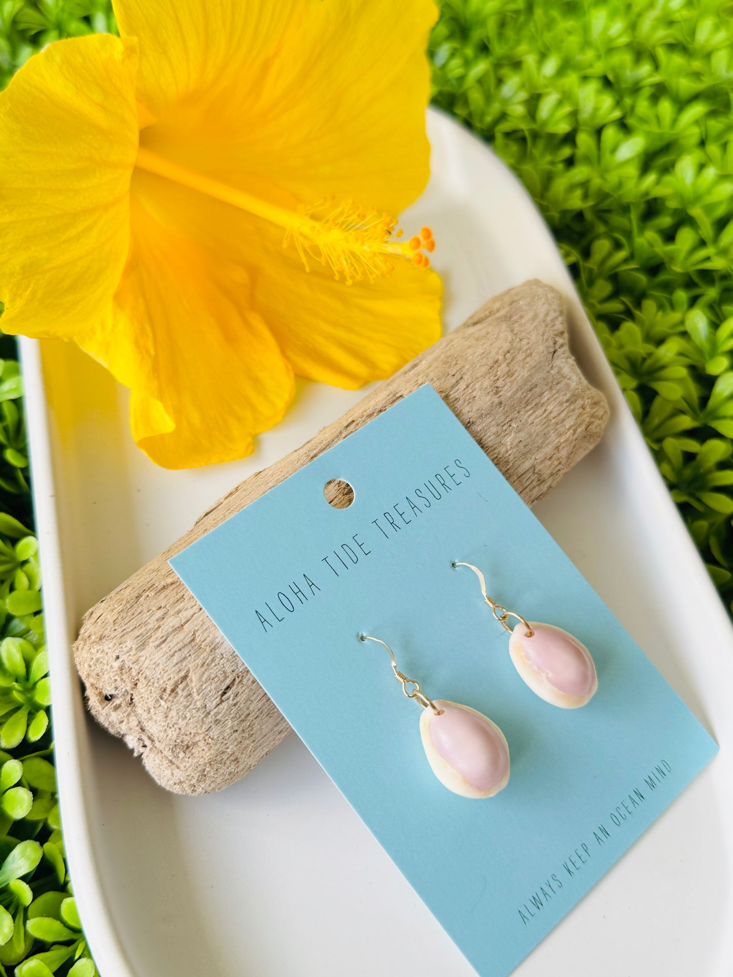 Sterling Silver Cowrie Shell Earrings