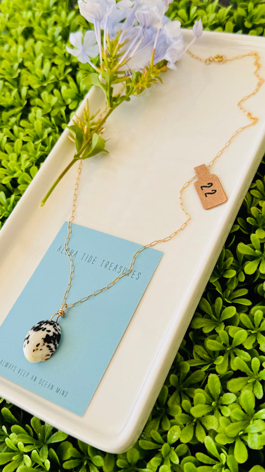 14K GF Nerite Shell Necklace 22”