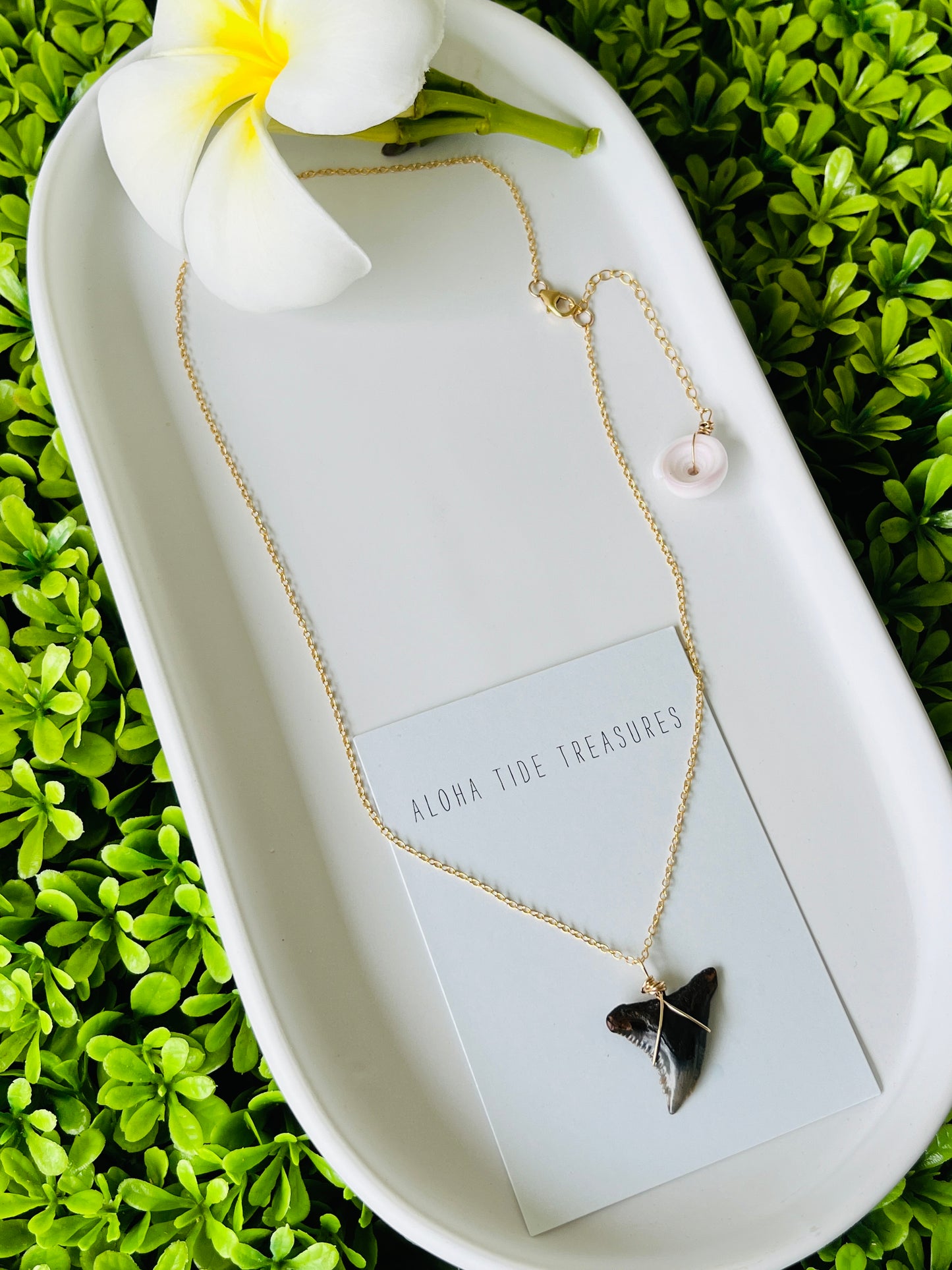 14K GF Shark Tooth Necklace 16”