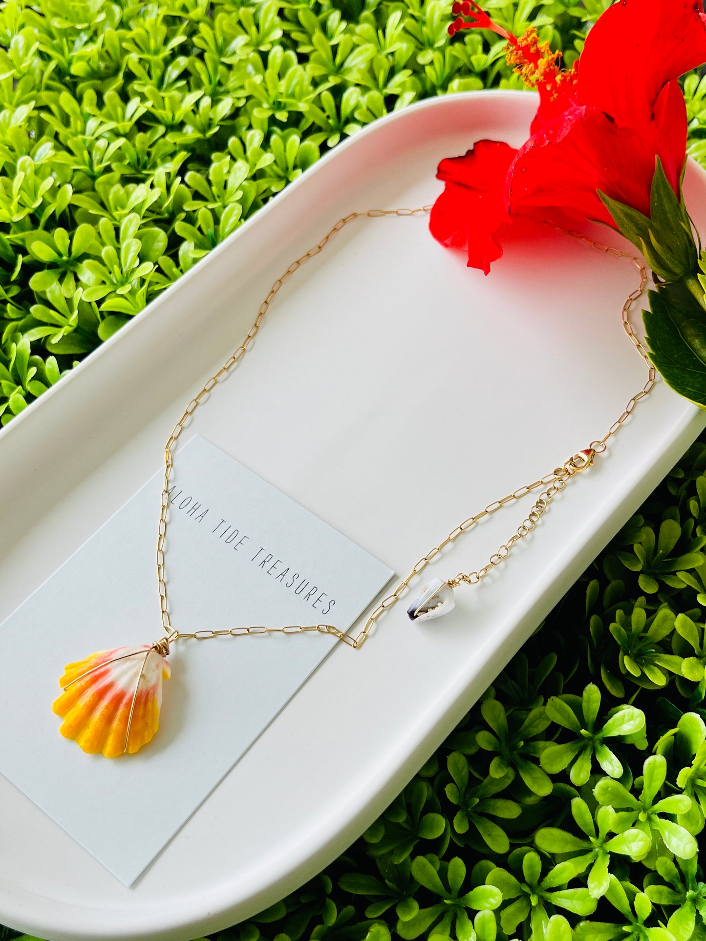 14K GF Sunrise Shell Necklace 16”