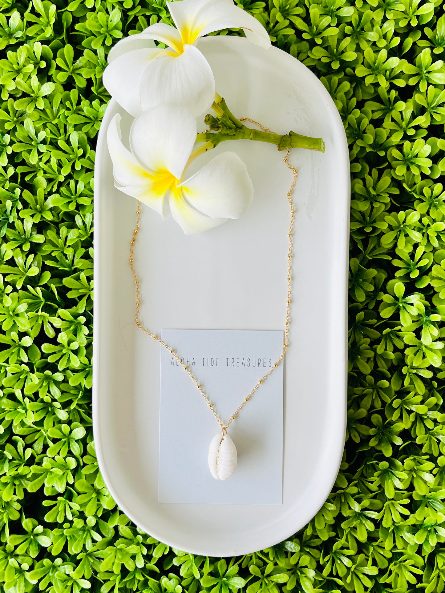 14K GF Cowrie Shell Necklace 16”