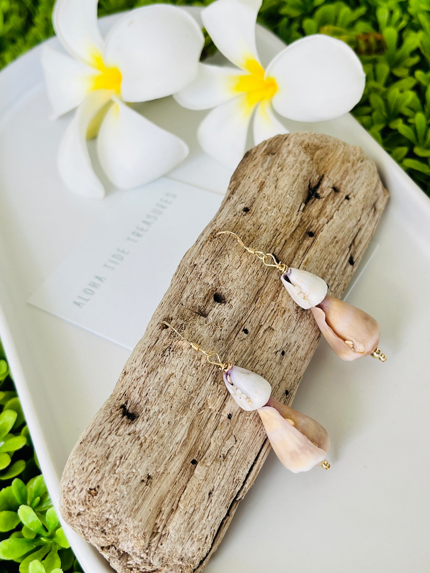 14K GF Stacked Cone Shell Earrings