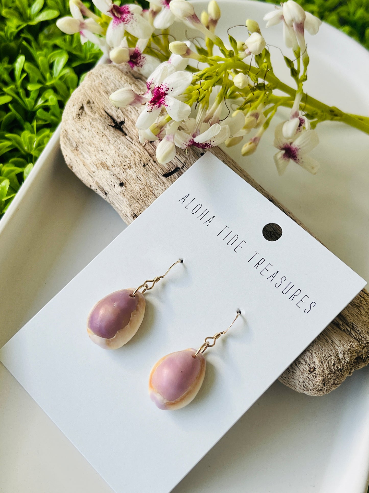 14K GF Cowrie Shell Earrings