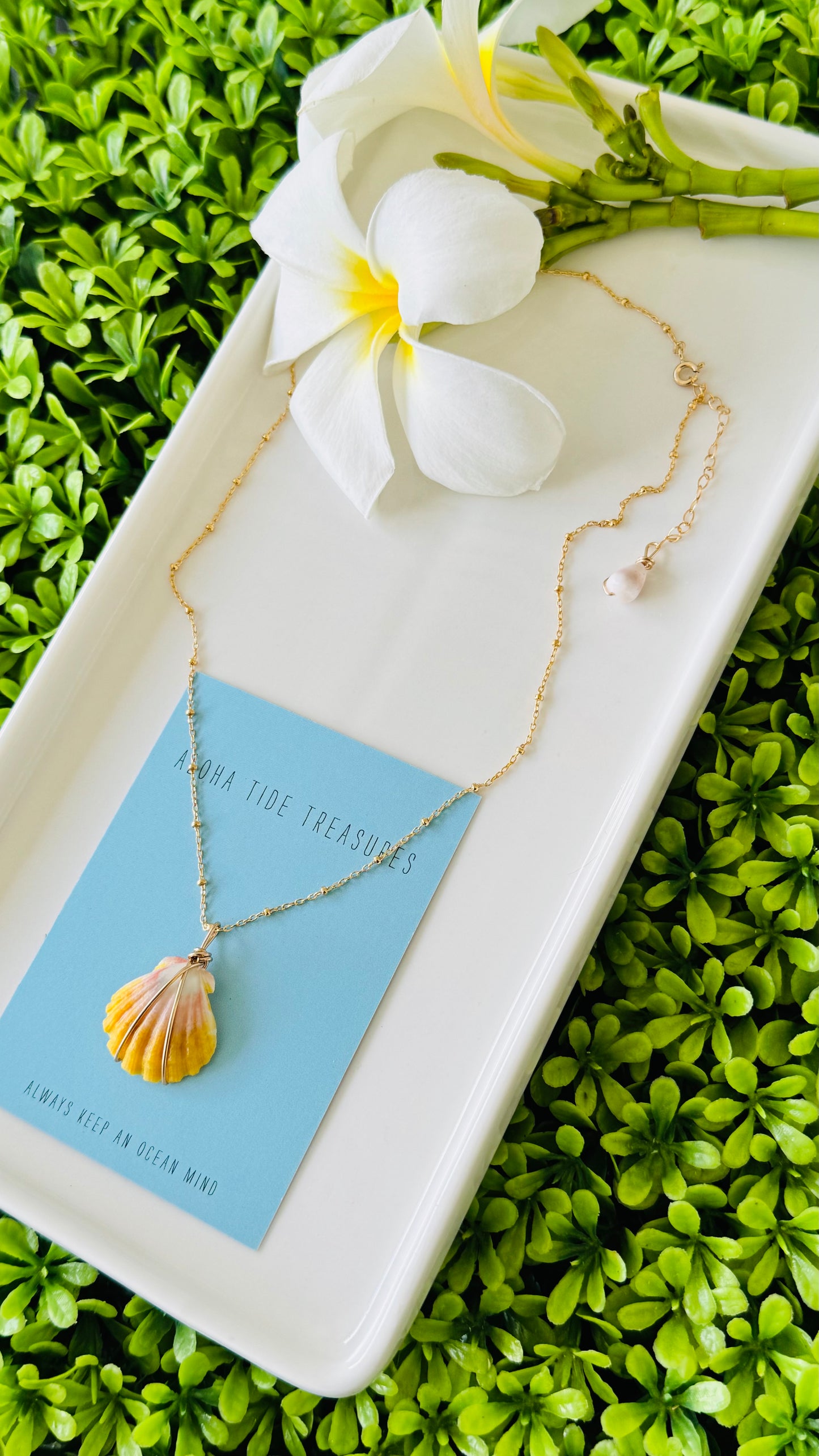 14K GF Sunrise Shell Necklace 16” - Lyana